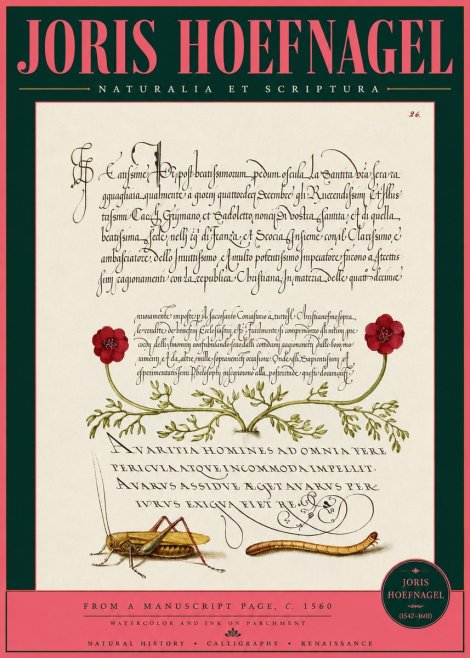 Joris Hoefnagel Illuminated Page with Flowers, Insects & Latin Script No3 - Poszter