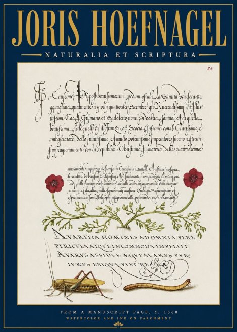 Joris Hoefnagel Illuminated Page with Flowers, Insects & Latin Script No4 - Poszter