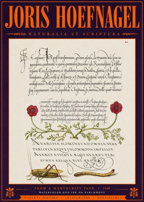 Joris Hoefnagel Illuminated Page with Flowers, Insects & Latin Script No6 - Poszter