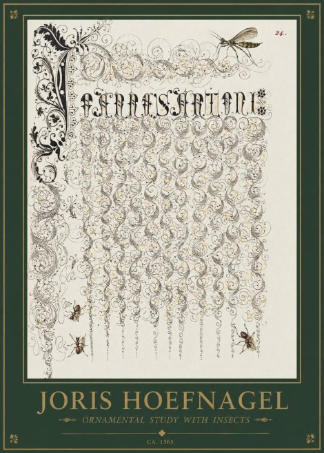 Joris Hoefnagel Ornamental Study with Insects No1 - Poszter