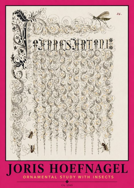 Joris Hoefnagel Ornamental Study with Insects No2 - Poszter