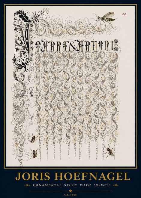 Joris Hoefnagel Ornamental Study with Insects No3 - Poszter