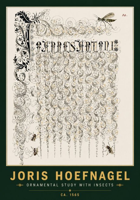 Joris Hoefnagel Ornamental Study with Insects No4 - Poszter