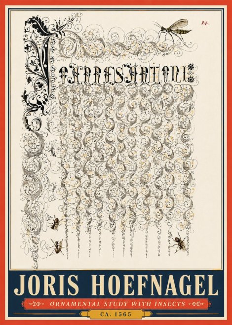 Joris Hoefnagel Ornamental Study with Insects No5 - Poszter