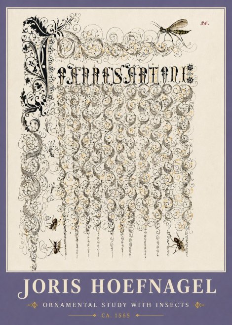 Joris Hoefnagel Ornamental Study with Insects No6 - Poszter