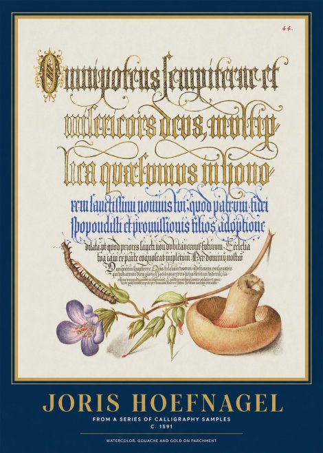 Joris Hoefnagel From a Series of Calligraphy Samples No1 - Poszter