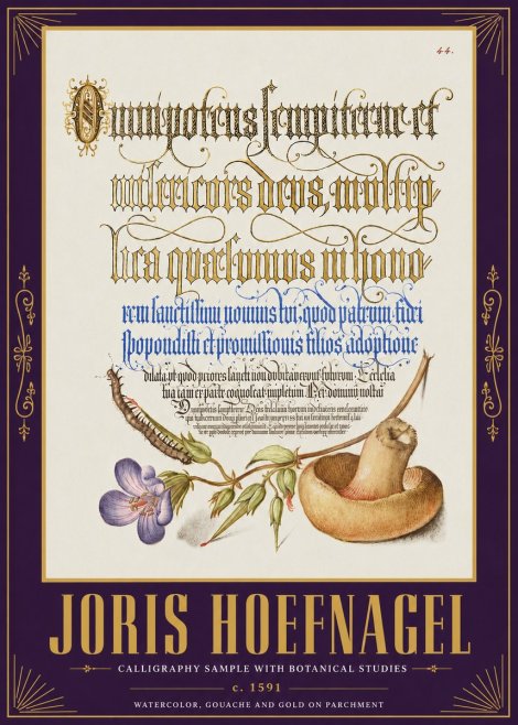 Joris Hoefnagel From a Series of Calligraphy Samples No5 - Poszter