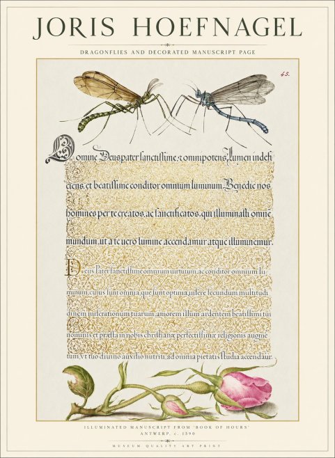 Joris Hoefnagel Dragonflies and Decorated Manuscript Page No1 - Poszter