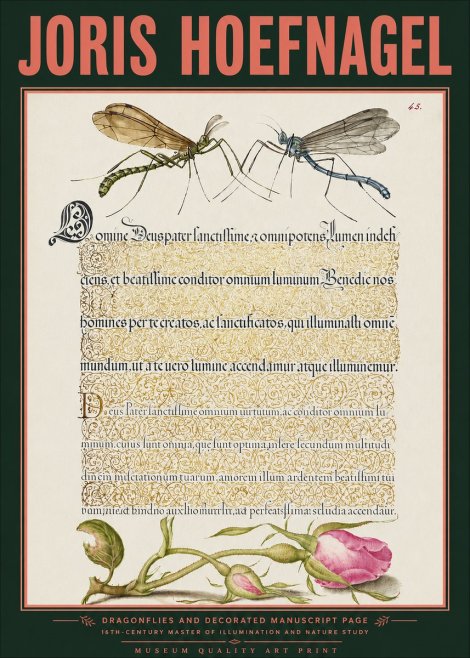 Joris Hoefnagel Dragonflies and Decorated Manuscript Page No3 - Poszter