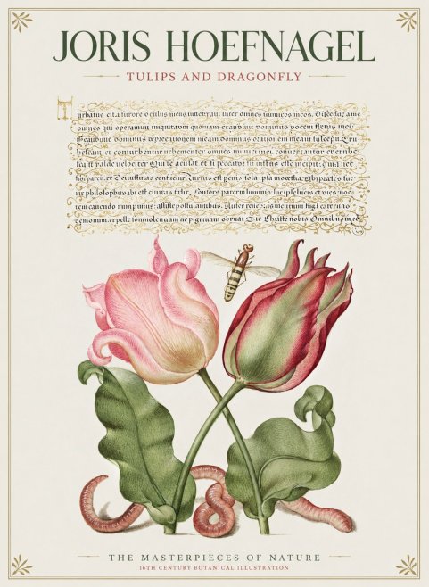 Joris Hoefnagel Two Tulips with Caterpillars and Dragonfly No2 - Poszter