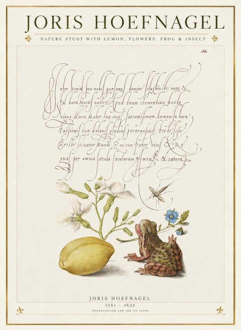 Joris Hoefnagel Nature Study with Lemon, Flowers, Frog & Insect No1 - Poszter