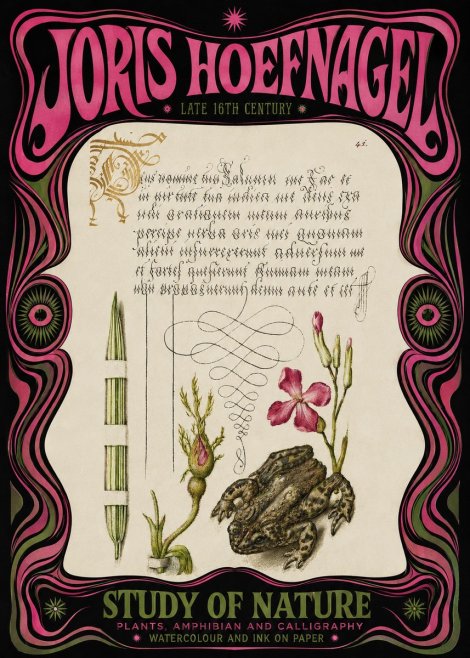 Joris Hoefnagel Study of Nature I No3 - Poszter