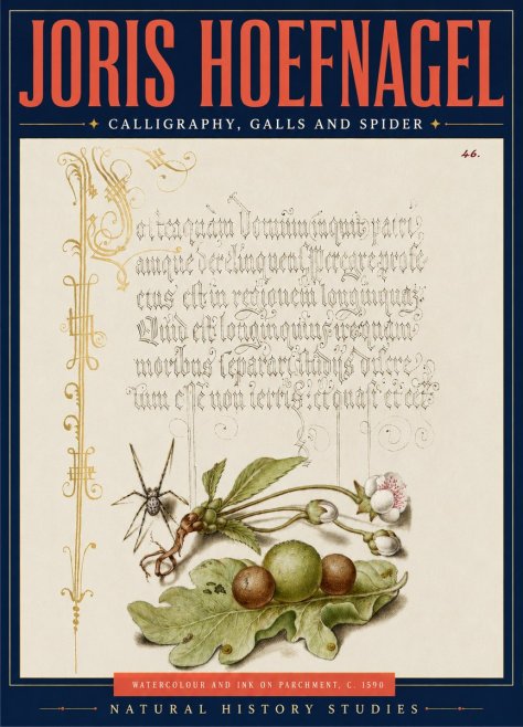Joris Hoefnagel Plant with Galls and Insect No5 - Poszter