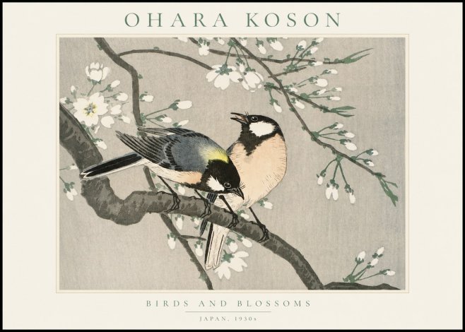 Ohara Koson Birds and Blossoms No1 - Poszter