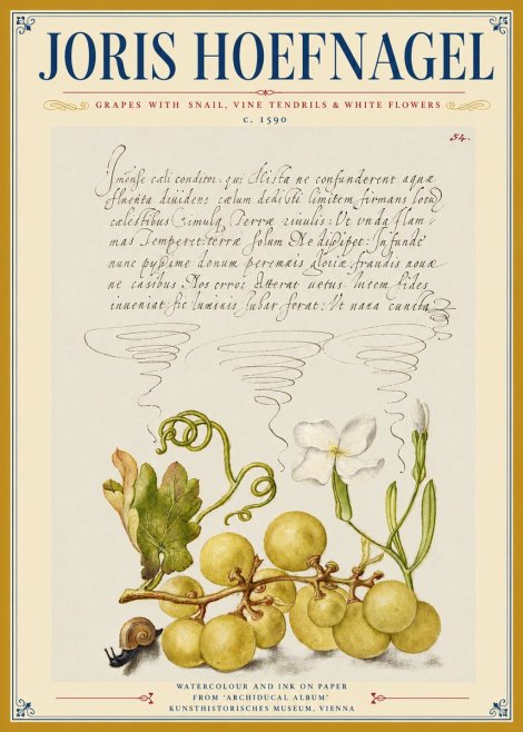 Joris Hoefnagel Grapes with Snail, Vine Tendrils & White Flowers No3 - Poszter