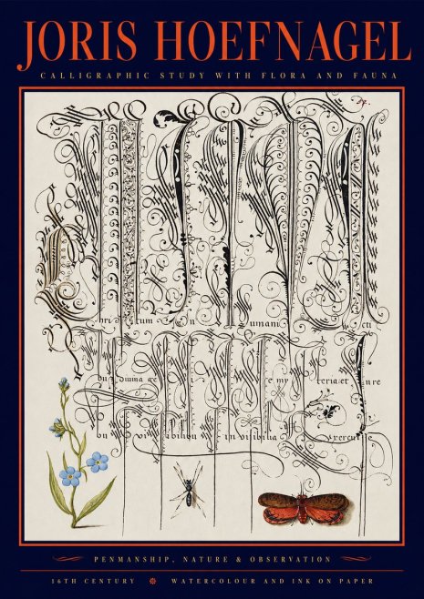 Joris Hoefnagel Calligraphic Study with Flora and Fauna No2 - Poszter