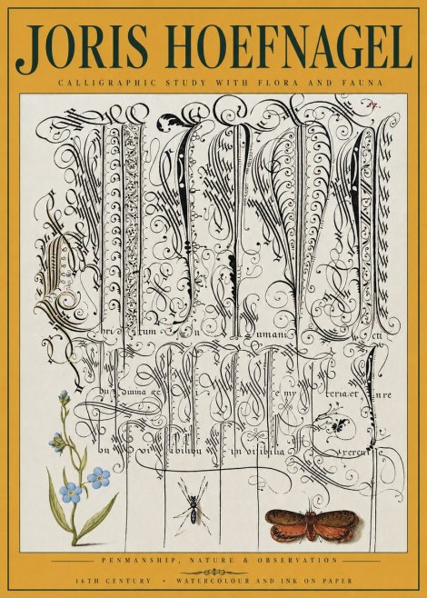 Joris Hoefnagel Calligraphic Study with Flora and Fauna No3 - Poszter
