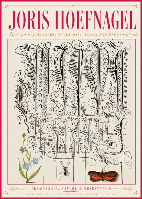 Joris Hoefnagel Calligraphic Study with Flora and Fauna No6 - Poszter
