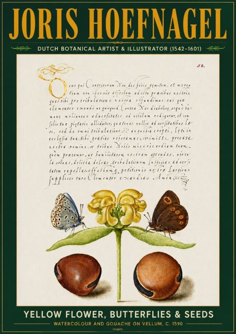 Joris Hoefnagel Yellow Flower, Butterflies & Seeds No5 - Poszter