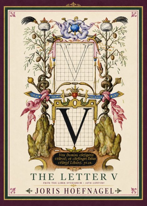 Joris Hoefnagel The Letter V No4 - Poszter