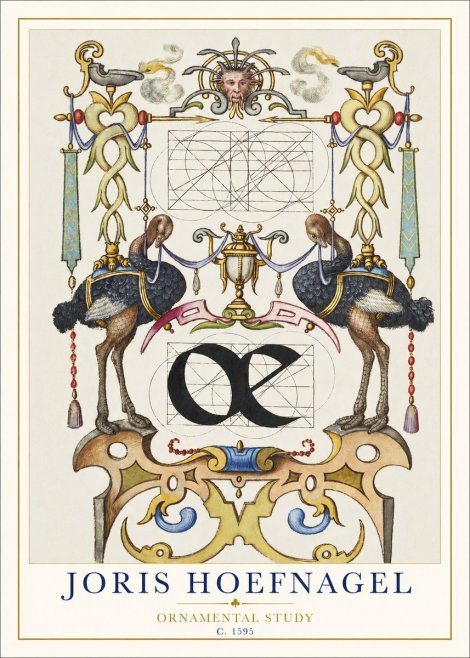 Joris Hoefnagel Ornamental Study I No1 - Poszter