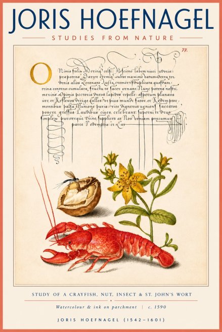 Joris Hoefnagel Studies from Nature No4 - Poszter