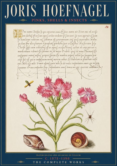 Joris Hoefnagel Pinks, Shells & Insects No5 - Poszter