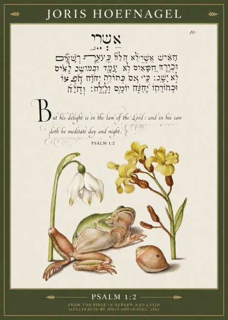 Joris Hoefnagel Psalm 1:2 No1 - Poszter