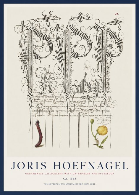 Joris Hoefnagel Ornamental Calligraphy with Caterpillar and Buttercup No1 - Poszter