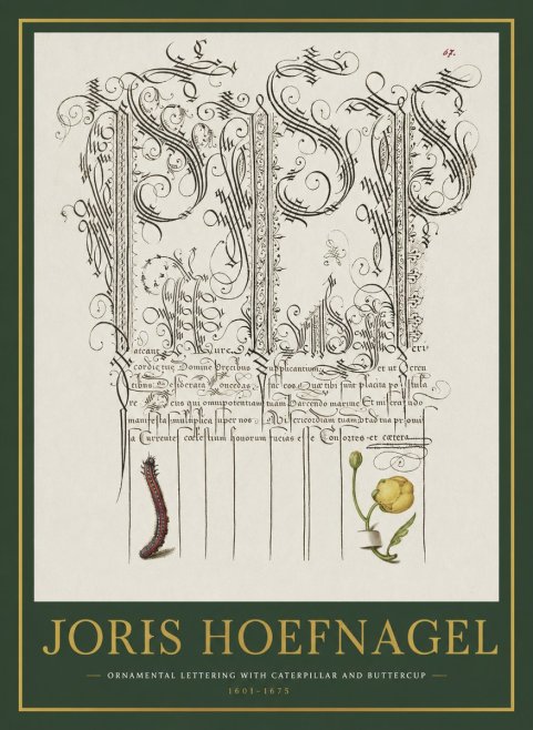 Joris Hoefnagel Ornamental Calligraphy with Caterpillar and Buttercup No2 - Poszter