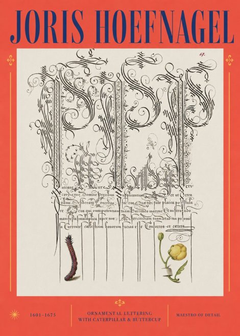 Joris Hoefnagel Ornamental Calligraphy with Caterpillar and Buttercup No3 - Poszter