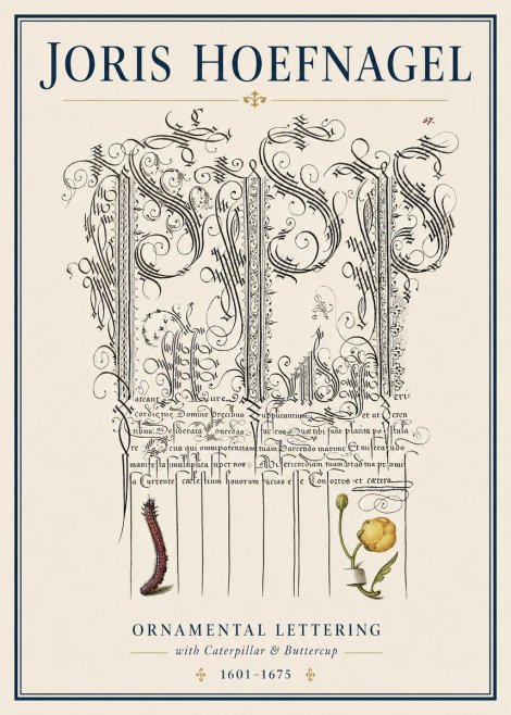 Joris Hoefnagel Ornamental Calligraphy with Caterpillar and Buttercup No4 - Poszter