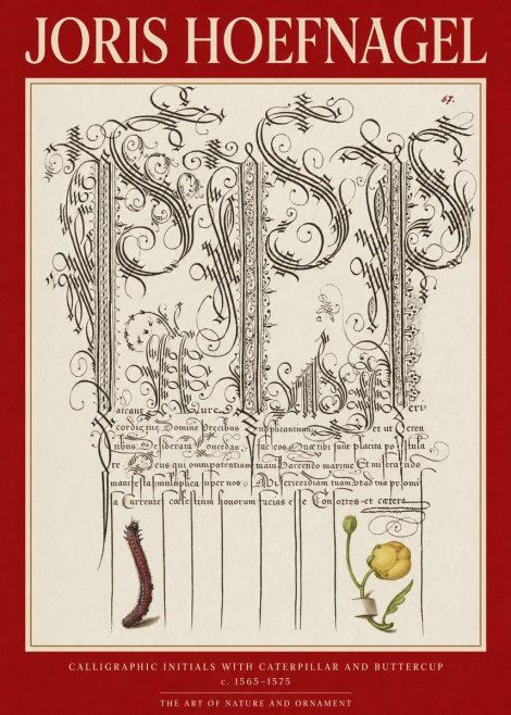Joris Hoefnagel Ornamental Calligraphy with Caterpillar and Buttercup No6 - Poszter