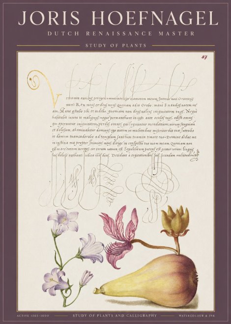 Joris Hoefnagel Study of Plants II No1 - Poszter