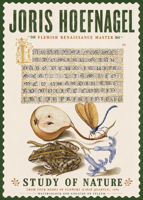 Joris Hoefnagel Study of Nature II No6 - Poszter