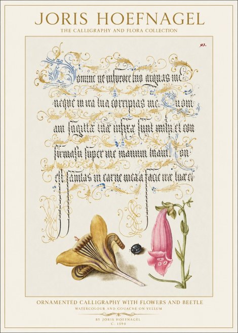 Joris Hoefnagel Ornamented Calligraphy with Flowers and Beetle No1 - Poszter