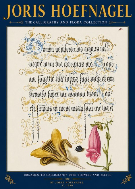 Joris Hoefnagel Ornamented Calligraphy with Flowers and Beetle No2 - Poszter