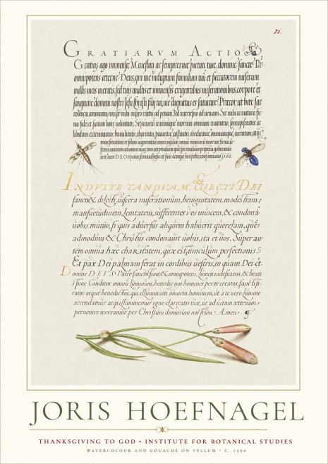 Joris Hoefnagel Thanksgiving to God • Institute for Botanical Studies No1 - Poszter