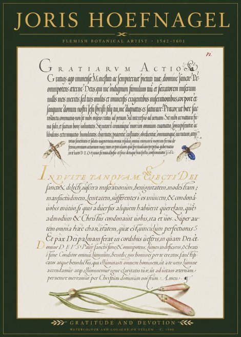 Joris Hoefnagel Thanksgiving to God • Institute for Botanical Studies No3 - Poszter