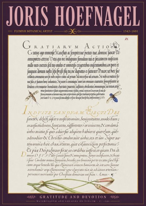 Joris Hoefnagel Thanksgiving to God • Institute for Botanical Studies No4 - Poszter