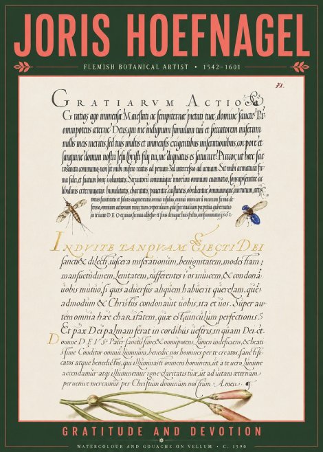 Joris Hoefnagel Thanksgiving to God • Institute for Botanical Studies No5 - Poszter
