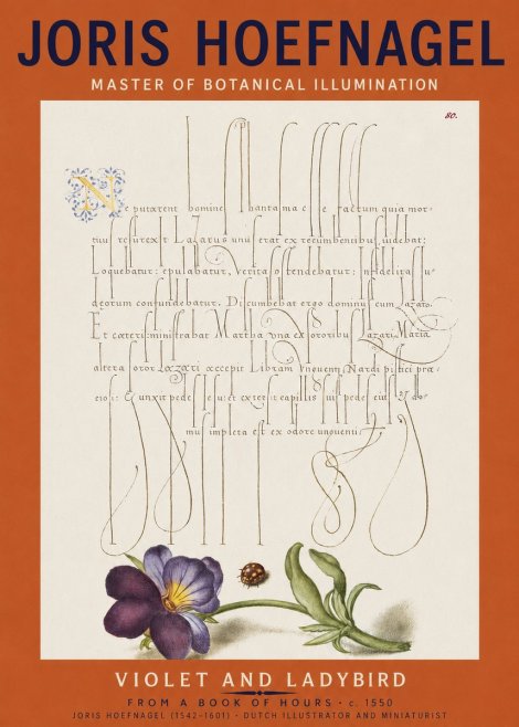 Joris Hoefnagel Violet and Ladybird No2 - Poszter