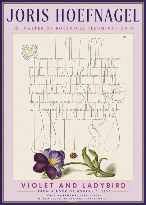 Joris Hoefnagel Violet and Ladybird No3 - Poszter
