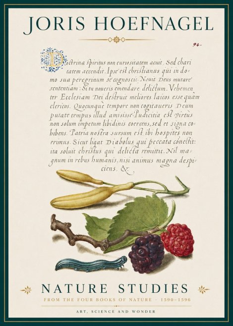 Joris Hoefnagel Nature Studies No3 - Poszter