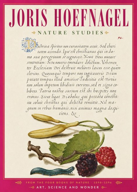 Joris Hoefnagel Nature Studies No6 - Poszter