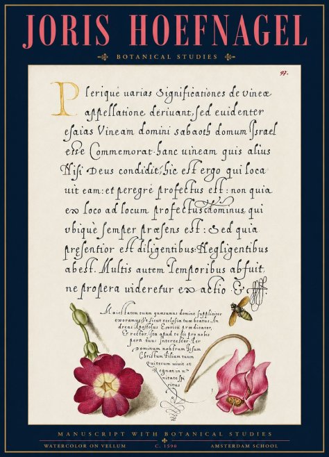 Joris Hoefnagel Manuscript with Botanical Studies No3 - Poszter