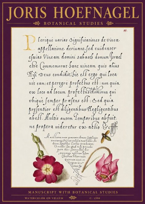 Joris Hoefnagel Manuscript with Botanical Studies No5 - Poszter