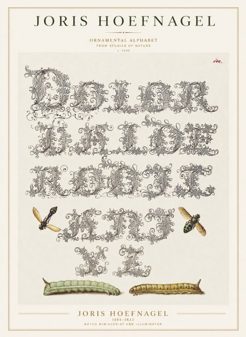 Joris Hoefnagel Ornamental Alphabet from Studies of Nature No1 - Poszter