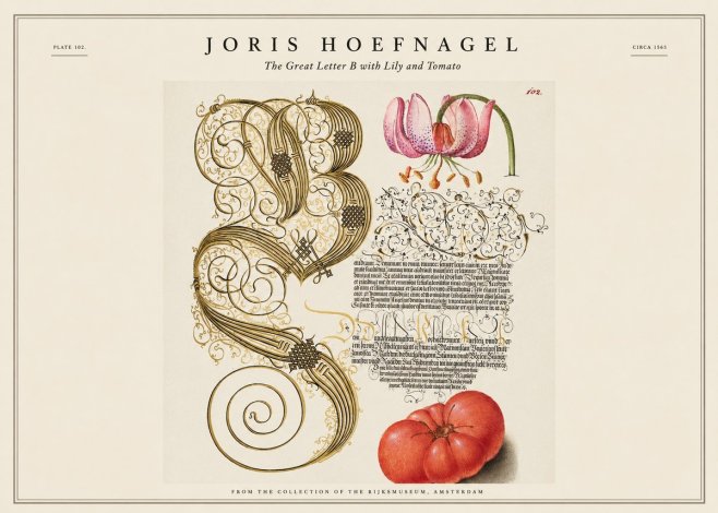 Joris Hoefnagel The Great Letter B with Lily and Tomato No1 - Poszter