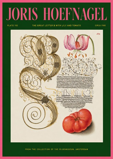 Joris Hoefnagel The Great Letter B with Lily and Tomato No2 - Poszter